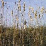 TYBEE LH AND SEA OATS
